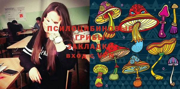 мдпв Орск