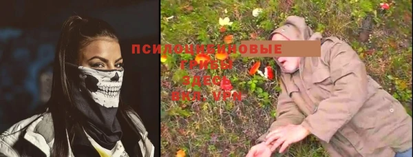 кристаллы Горнозаводск