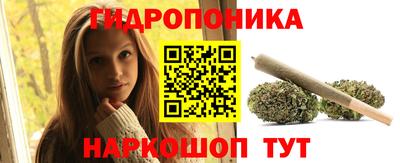 гашик Бузулук