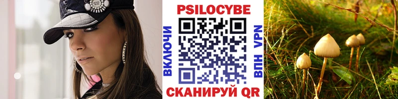 где можно купить наркотик  Дивногорск  ссылка на мегу ТОР  Галлюциногенные грибы Magic Shrooms 