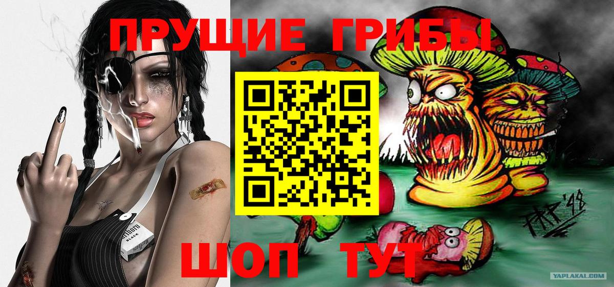 Галлюциногенные грибы Cubensis  закладка  Дивногорск 