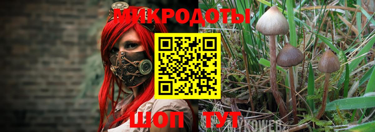 Галлюциногенные грибы MAGIC MUSHROOMS Дивногорск