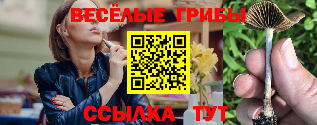 Дивногорск  Псилоцибиновые грибы прущие грибы  Псилоцибиновые грибы Cubensis  Вход с VPN 